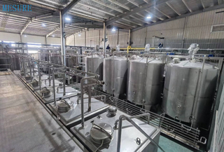 Система очистки воды RO Water Filter Обратный осмос Система для завода для питьевой воды